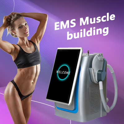 150HZ συχνότητα EMS Slimming Machine Επαγγελματική για βελτιωμένο μυϊκό τόνισμα / καύση λίπους
