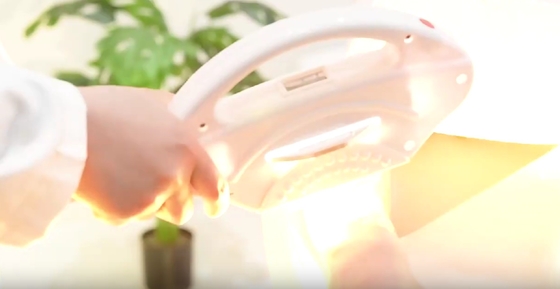 Οικογένεια OPT IPL Laser Machine Μόνιμο Λευκαντικό Δέρματος Λεζερική Μηχανή Θεραπείας